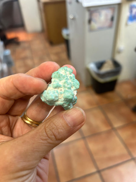 Fox Turquoise Necklace by Bruce Eckhardt