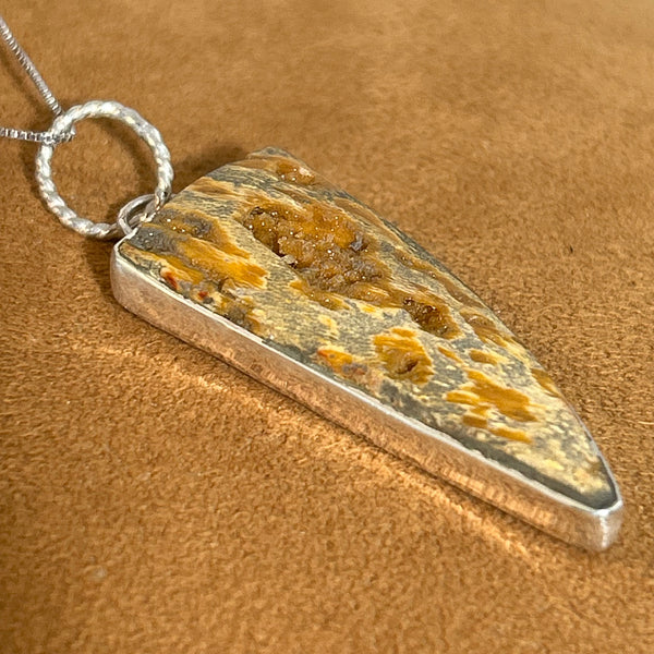 Petrified Wood Pendant Necklace by Dezbah Stumpff (Copy)