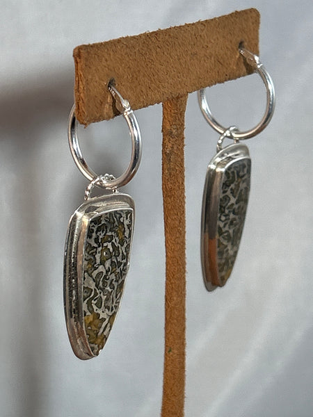 Petrified Wood Earrings by Dezbah Stumpff