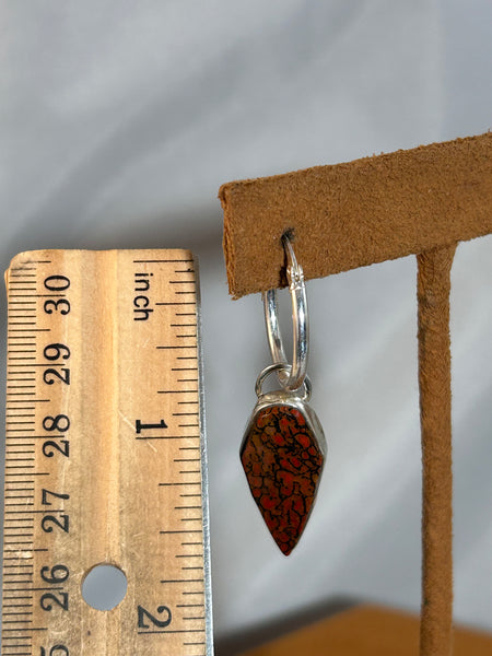 Fossilized Dinosaur Bone Earrings by Dezbah Stumpff