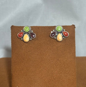 Multi-Stone Fan post Earrings by Don Lucas