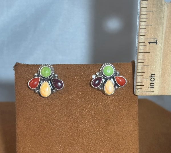 Multi-Stone Fan post Earrings by Don Lucas