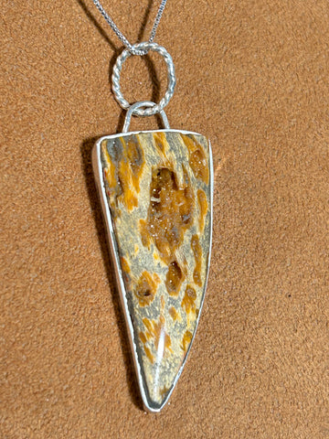 Petrified Wood Pendant Necklace by Dezbah Stumpff (Copy)