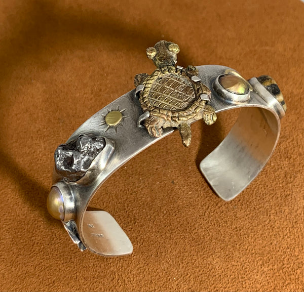 Antique Turtle and Meteorite by Victoria Maase Stoll